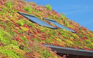Upper Hergest living roof systems