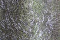 Upper Hergest fibreglass roof work